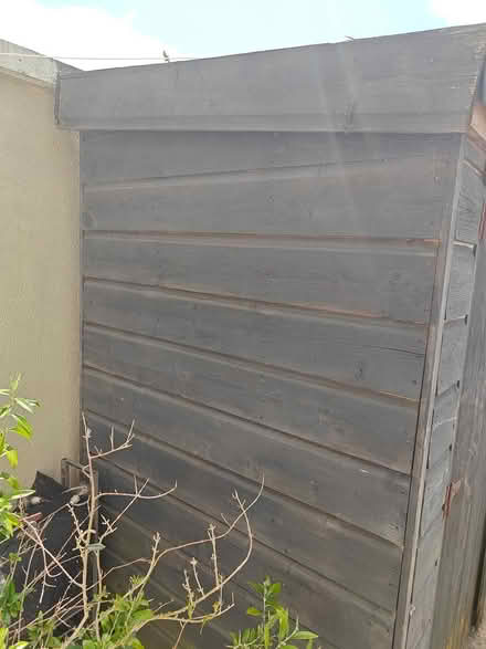 Photo of free Garden shed to take away (Wicklow Town) #2