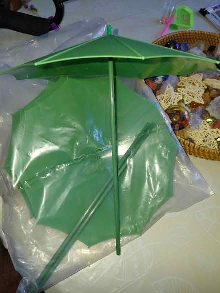 Photo of free 8 plant umbrellas/shades (Rowner PO13) #1
