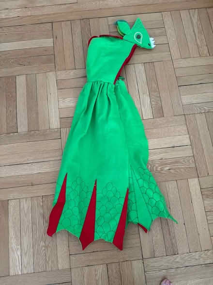 Photo of free Kids’ dragon cape (Upper West Side) #1