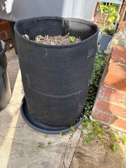 Photo of free Felt planters (Great Maplestead CO9) #1