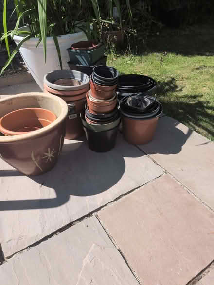Photo of free Selection of garden plants pots (Llandrindod LD1) #1