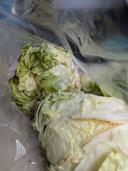 Photo of free Veggies for pets or people (Youngtown library) #2