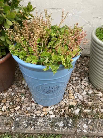 Photo of free Two large flower pots (Erlestoke Devizes SN10) #1