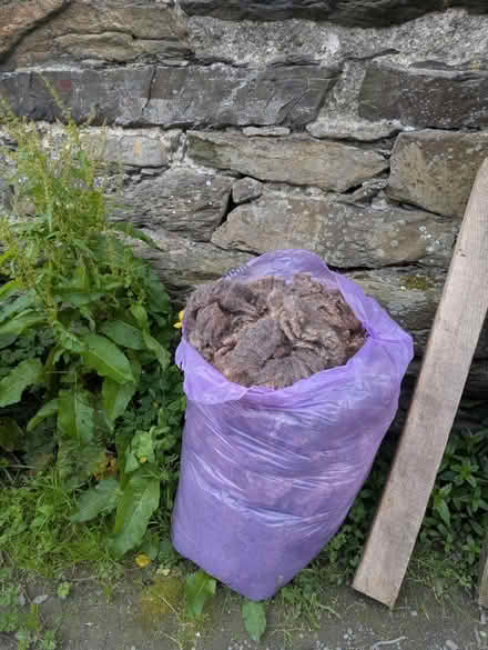Photo of free Wool - for gardens (High Newton LA11) #1