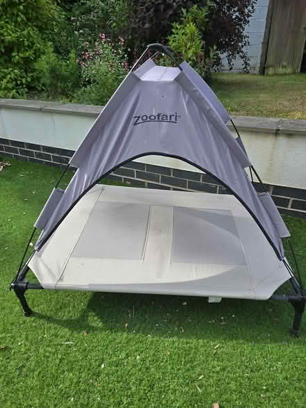 Photo of free Raised pet bed (Botley SO30) #1
