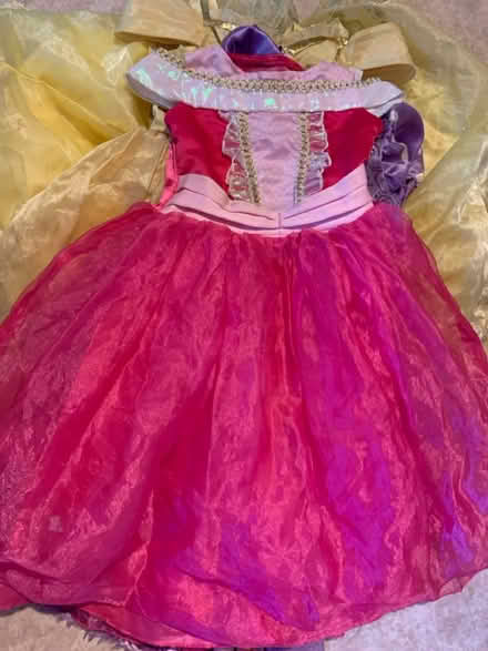 Photo of free Bundle princess dressing up outfits (Lifford, kings Norton B30) #1