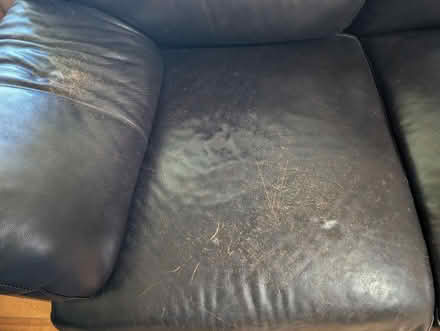 Photo of free Sofa love seat (Cupertino Public Library) #3