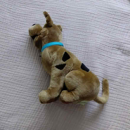 Photo of free Scooby plush (Union City) #2