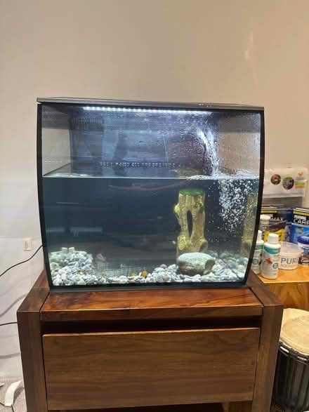 Photo of free Tropical fish tank (West Felton SY11) #3