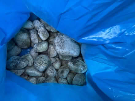 Photo of free Polar white Garden Cobbles (Elmstead BR7) #4