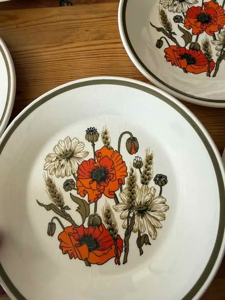 Photo of free Meakin poppy set (Willingdon) #3
