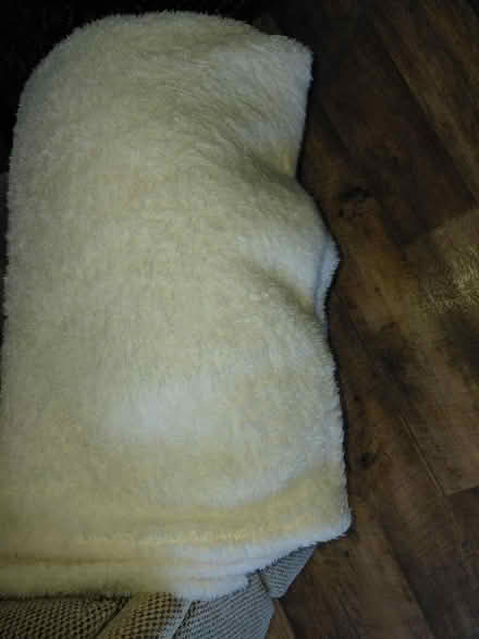 Photo of free Large Teddy throw (Rowner PO13) #1