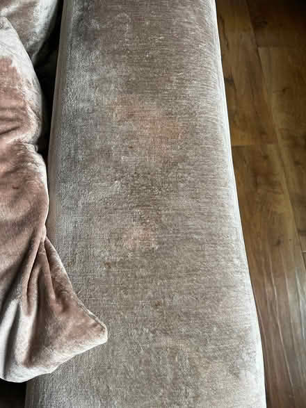 Photo of free Heal's Designer Velvet Loveseat (Muswell Hill N10) #3