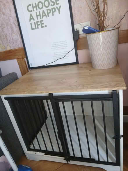 Photo of free Dog crate (Canford Heath, BH17 8) #1