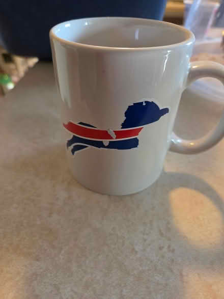Photo of free Buffalo Bills mugs (Manville) #2