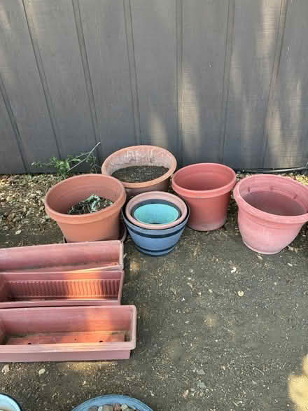 Photo of free Plant pots, Rocks and Sand (Los Altos) #3