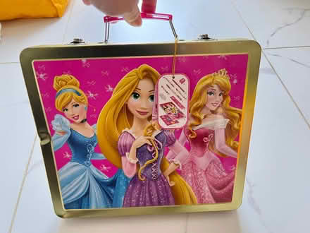 Photo of free Disney Princesses metal colouring case (Pinkneys Green SL6) #2