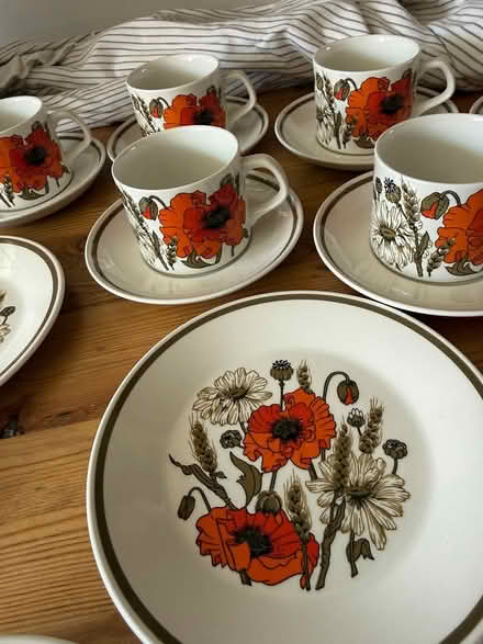 Photo of free Meakin poppy set (Willingdon) #2