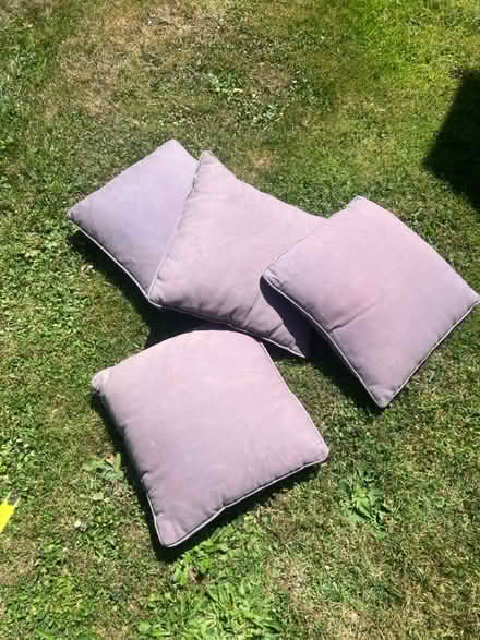 Photo of free 4 indoor/outdoor cushions - grey (Lambs Green RH12) #1