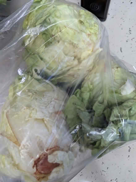 Photo of free Veggies for pets or people (Youngtown library) #3