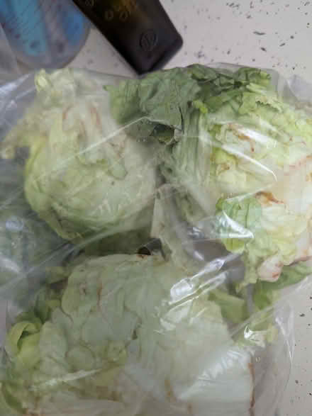Photo of free Veggies for pets or people (Youngtown library) #1