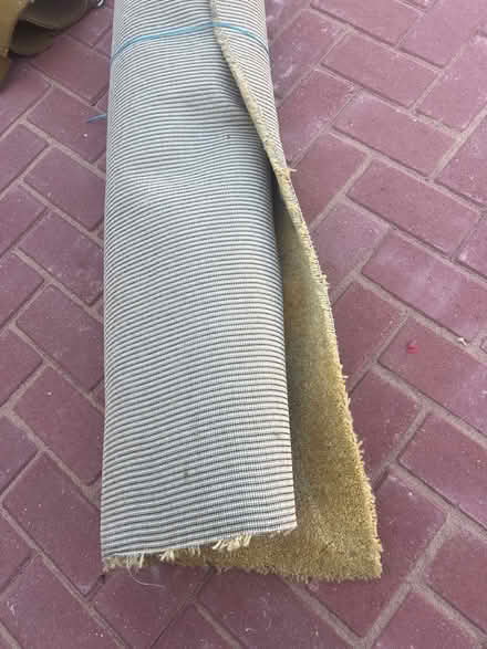 Photo of free Rugs (TW19) #3