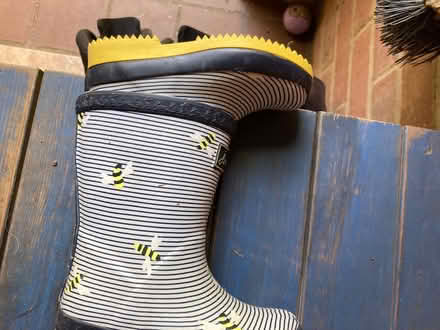 Photo of free Size 6 wellies (Four Marks GU34) #1
