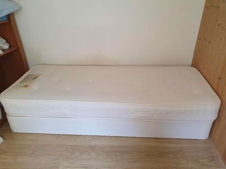 Photo of free Single divan and mattress (South Tonbridge TN9) #1