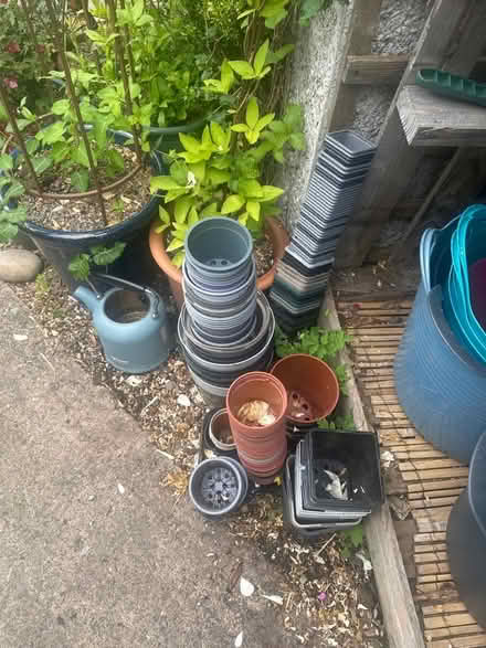 Photo of free plastic plsnt pots (Heysham LA3) #1