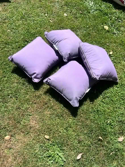 Photo of free 4 outdoor cushions (Lambs Green RH12) #1