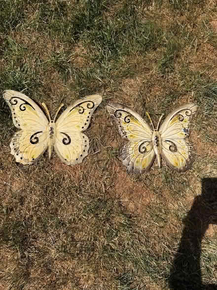 Photo of free 2 garden butterfly’s for fence (CR7) #1
