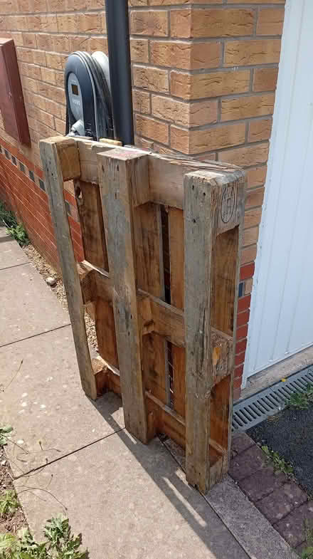 Photo of free Wooden pallet (Berwick Grange SY1) #1