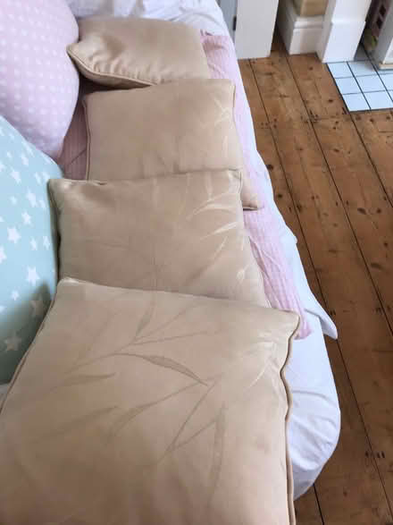 Photo of free 4 cushions (Off Woodbridge road IP4) #2