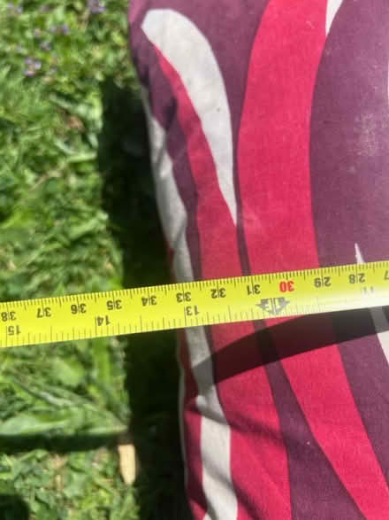 Photo of free Indoor/outdoor cushions (Lambs Green RH12) #2