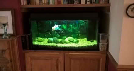 Photo of free Juwel Aquarium (Bexhill TN39) #1