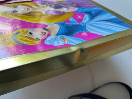 Photo of free Disney Princesses metal colouring case (Pinkneys Green SL6) #3