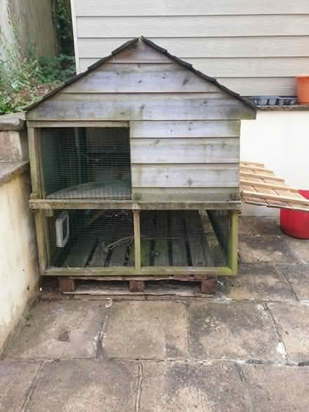 Photo of free Hen house slightly modified for cats but can revert to hens. (Patcham BN1) #1