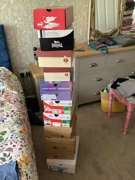 Photo of free Eleven Shoe Boxes (Waldridge Park DH2) #1