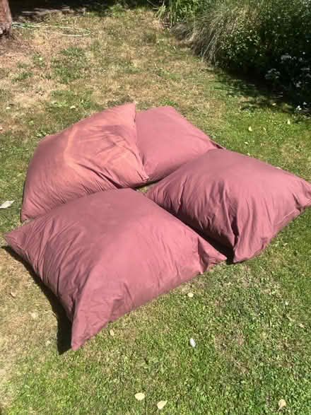 Photo of free 4 continental cushions/pillows (Lambs Green RH12) #1