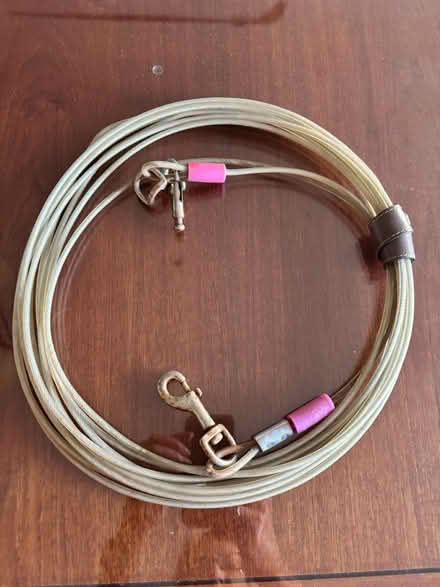 Photo of free 30’ Cable dog chain (Willow Glen) #1