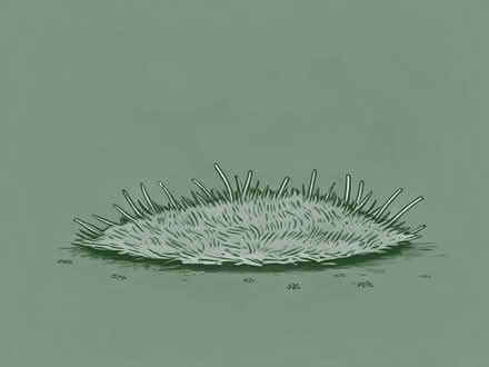 Photo of Artificial grass remnants (Brockworth GL3) #1