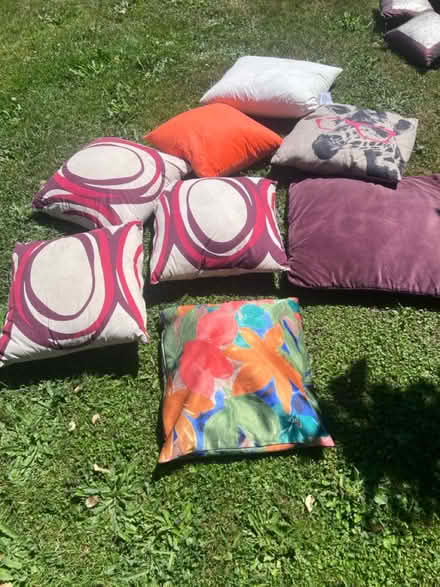 Photo of free Indoor/outdoor cushions (Lambs Green RH12) #1