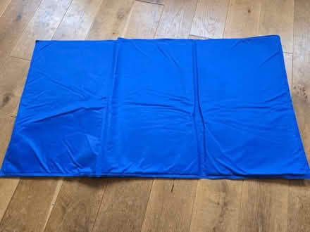 Photo of free Cooling mat (Botley SO30) #1