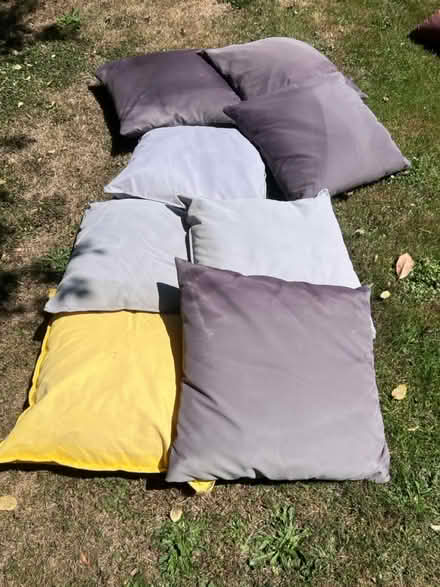 Photo of free 8 external cushions (Lambs Green RH12) #1
