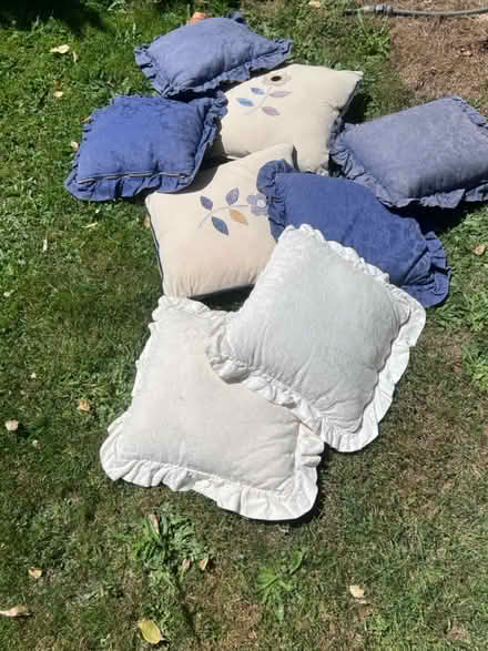 Photo of free 8 scatter cushions (Lambs Green RH12) #1