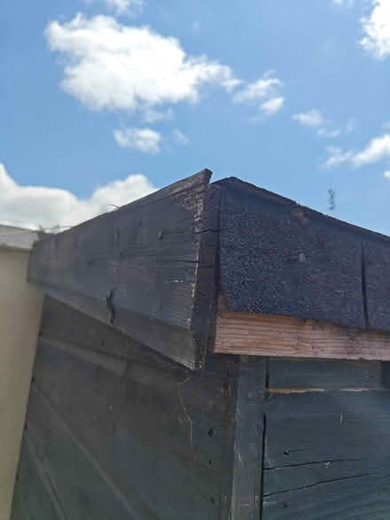 Photo of free Garden shed to take away (Wicklow Town) #4
