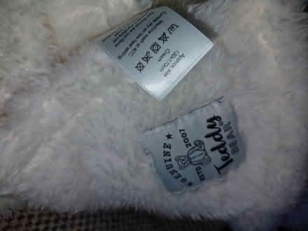Photo of free Large Teddy throw (Rowner PO13) #2