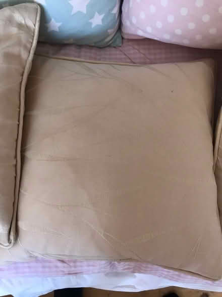 Photo of free 4 cushions (Off Woodbridge road IP4) #1