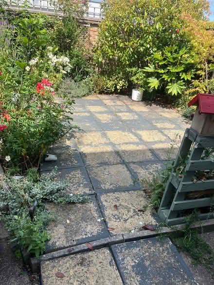 Photo of free 60 Garden Patio Slabs – Used (Pittville GL50) #1