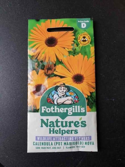Photo of free Marigold Seeds (toxteth L8) #1